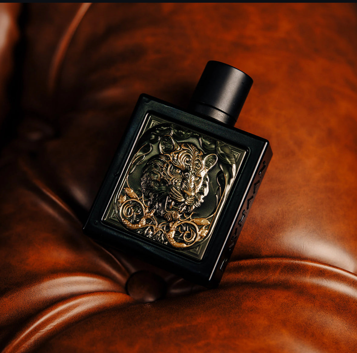 Rayhaan Tiger - Cal Cologne Edition