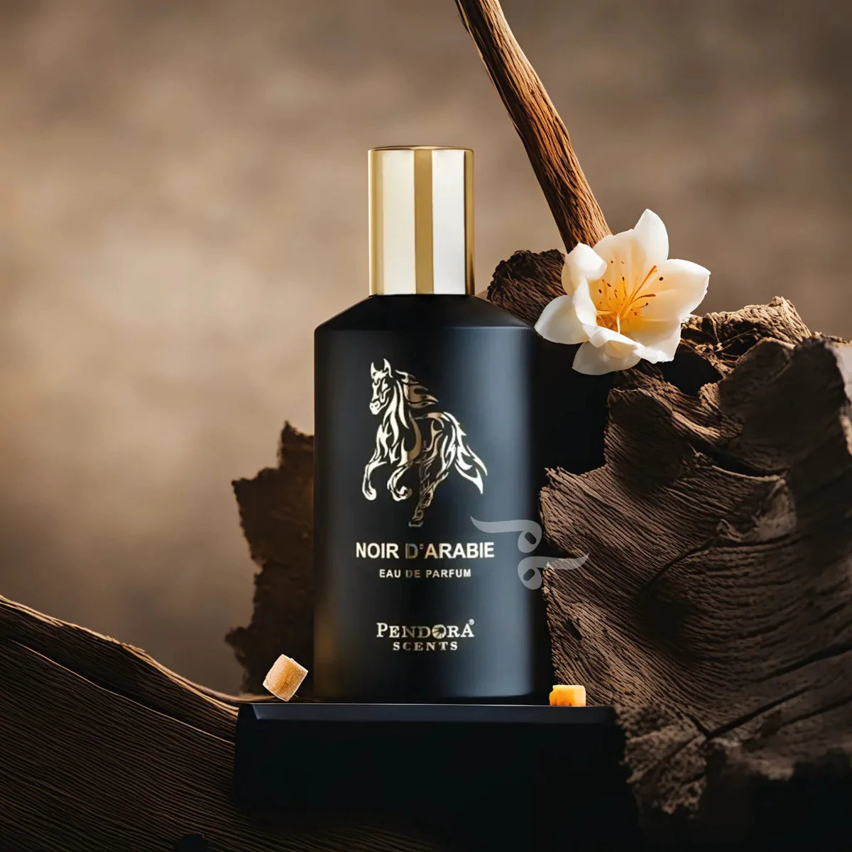 Pendora Scents - Noir D’Arabie